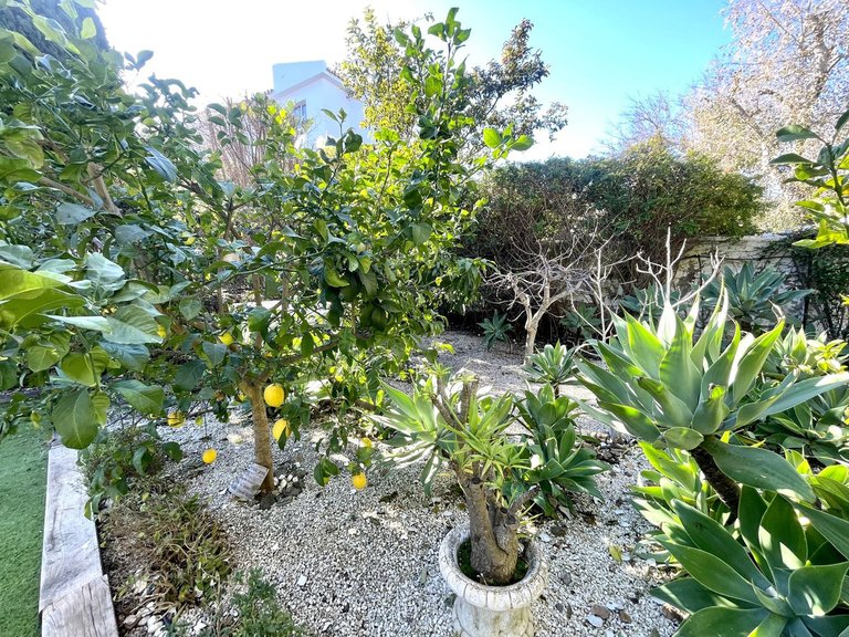 Villa for Sale in Cerros Del Aguila, Malaga 53