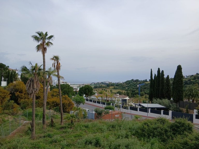 Plot for Sale in Benahavís, Malaga 12