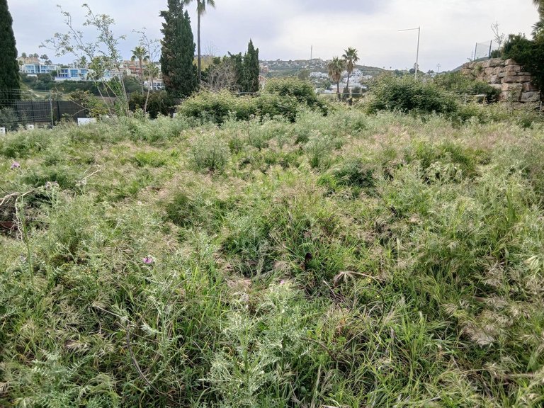 Plot for Sale in Benahavís, Malaga 3