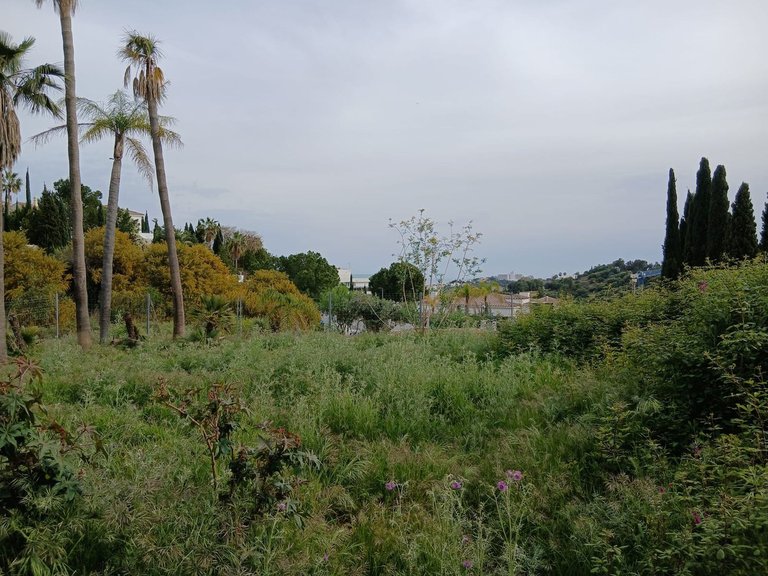 Plot for Sale in Benahavís, Malaga 9