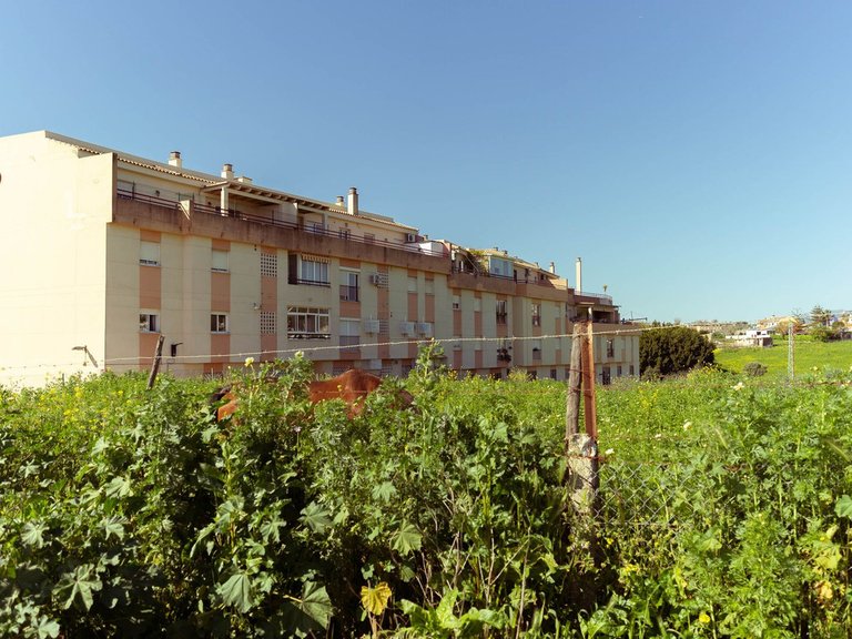 Apartment for Sale in Mijas Costa, Malaga 31