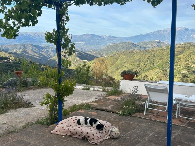 Villa for Sale in Montes De Málaga, Malaga 54