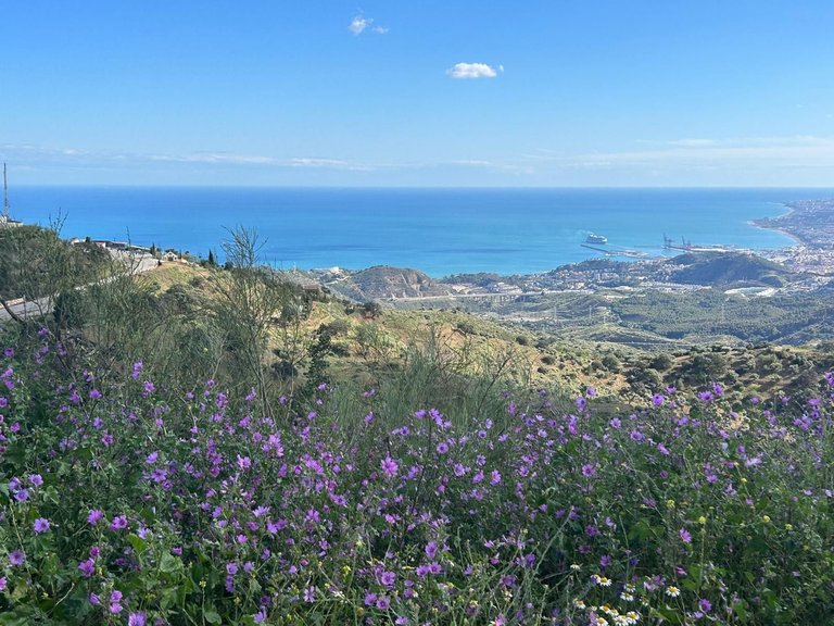 Villa for Sale in Montes De Málaga, Malaga 61