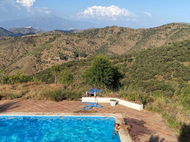 Villa for Sale in Montes De Málaga, Malaga 64