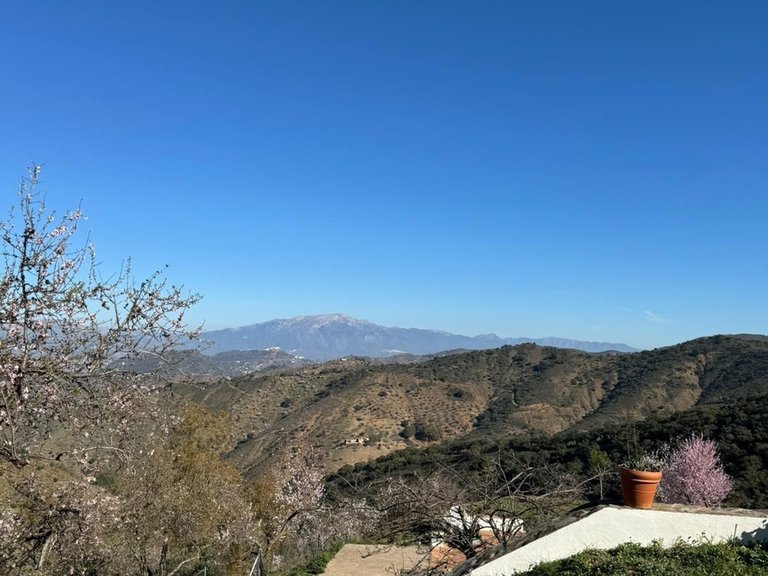 Villa for Sale in Montes De Málaga, Malaga 81
