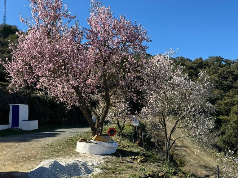 Villa for Sale in Montes De Málaga, Malaga 82