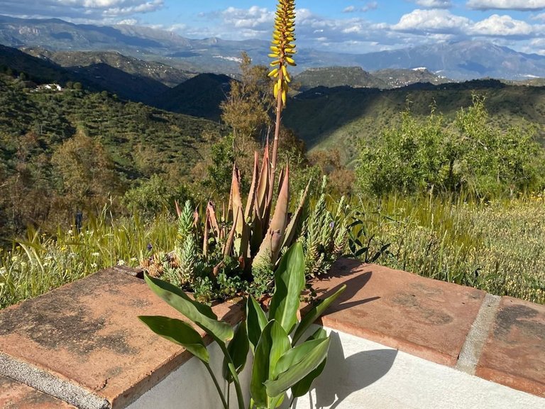 Villa for Sale in Montes De Málaga, Malaga 84