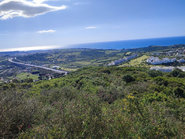 Plot for Sale in Estepona, Malaga 1