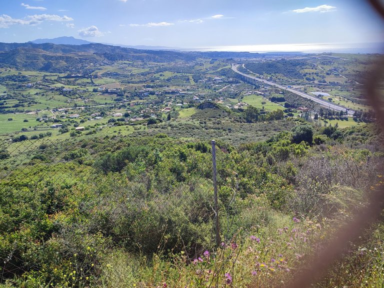 Plot for Sale in Estepona, Malaga 2