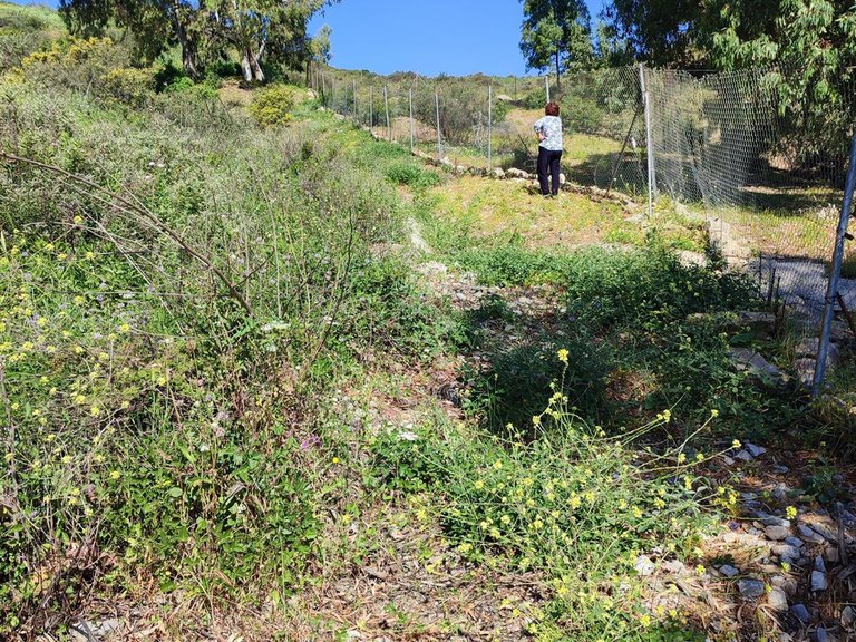 Plot for Sale in Estepona, Malaga 7