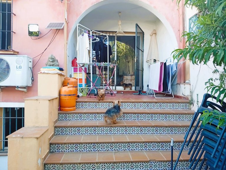 Villa for Sale in Estepona, Malaga 26