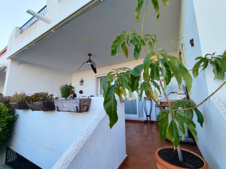 Villa for Sale in Punta Chullera, Malaga 26
