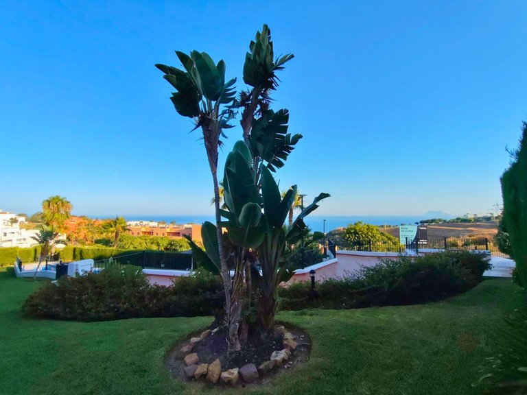 Villa for Sale in Punta Chullera, Malaga 33