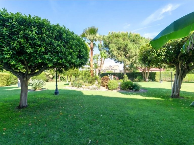 Apartment for Sale in Málaga Centro, Malaga 5
