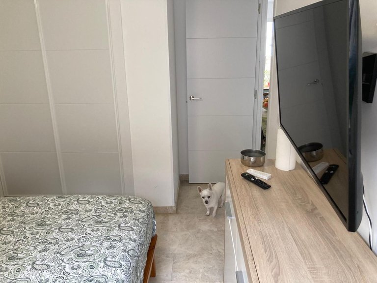 Apartment for Sale in Torremolinos, Malaga 19