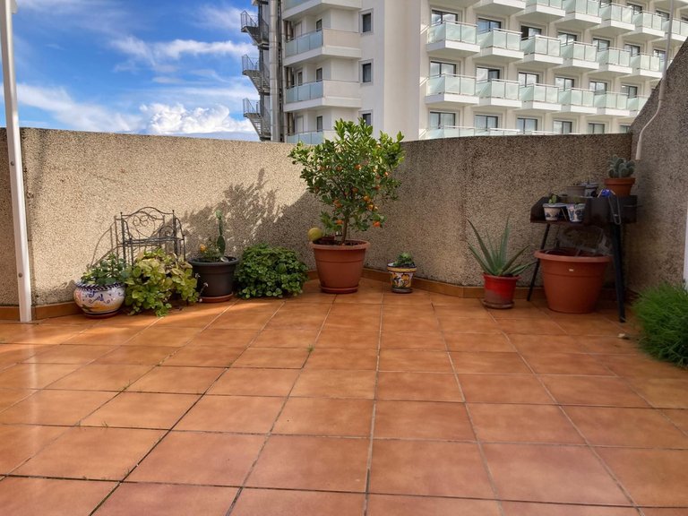 Apartment for Sale in Torremolinos, Malaga 9