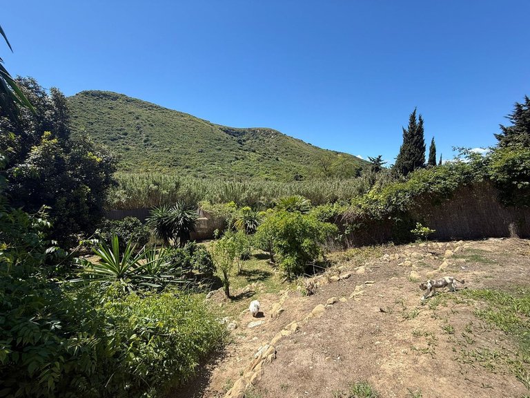 Villa for Sale in Manilva, Malaga 40