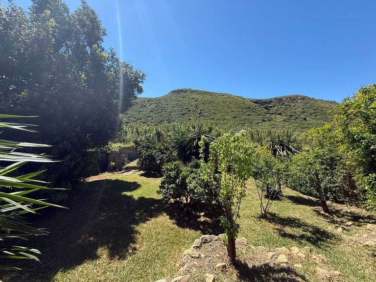 Villa for Sale in Manilva, Malaga 48