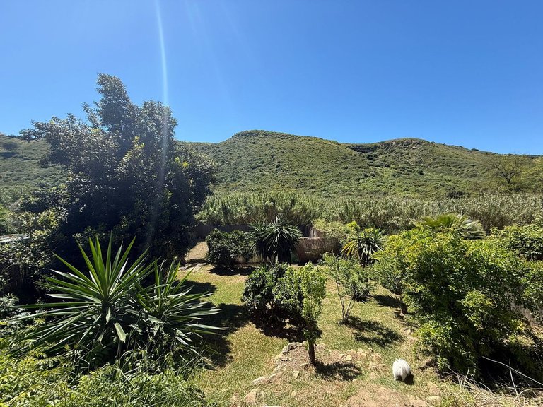 Villa for Sale in Manilva, Malaga 49