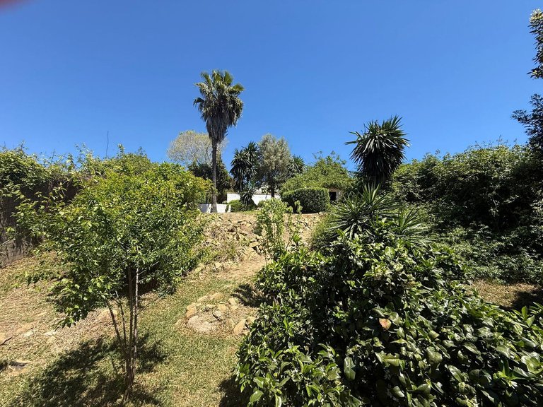 Villa for Sale in Manilva, Malaga 51