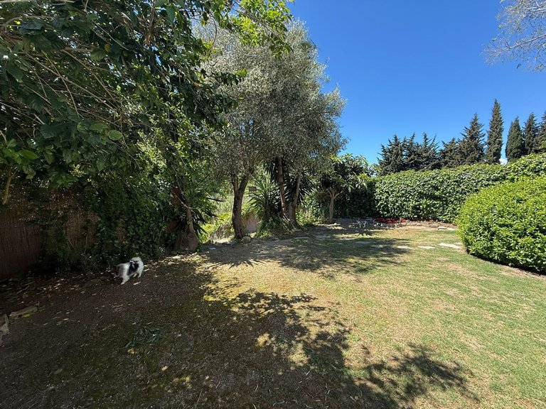 Villa for Sale in Manilva, Malaga 54