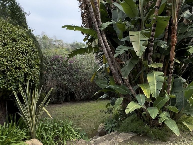 Villa for Sale in Marbella, Malaga 37