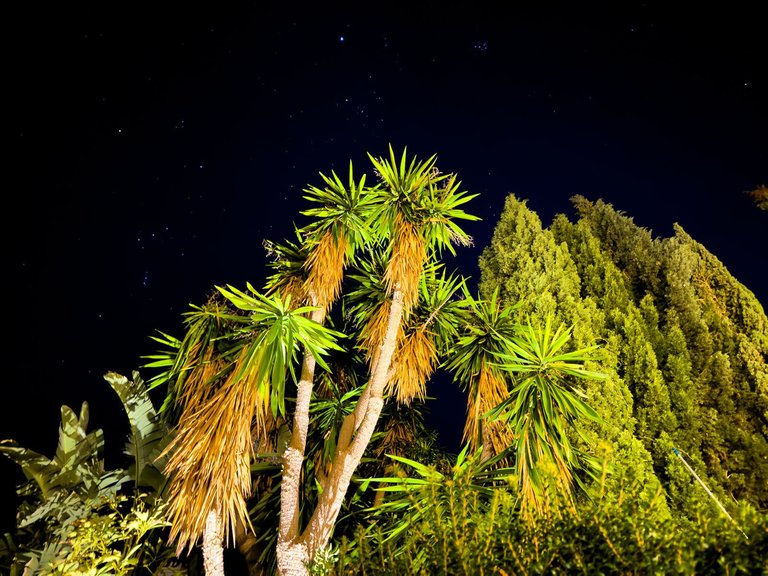 Villa for Sale in El Rosario, Malaga 28