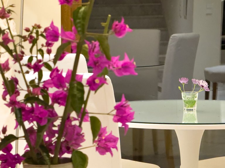Villa for Sale in El Rosario, Malaga 45