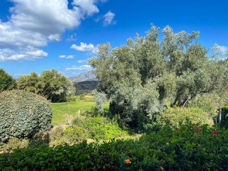 Villa for Sale in El Rosario, Malaga 8