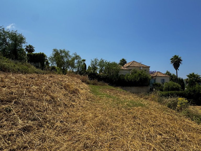 Plot for Sale in Sotogrande Alto, Cadiz 2
