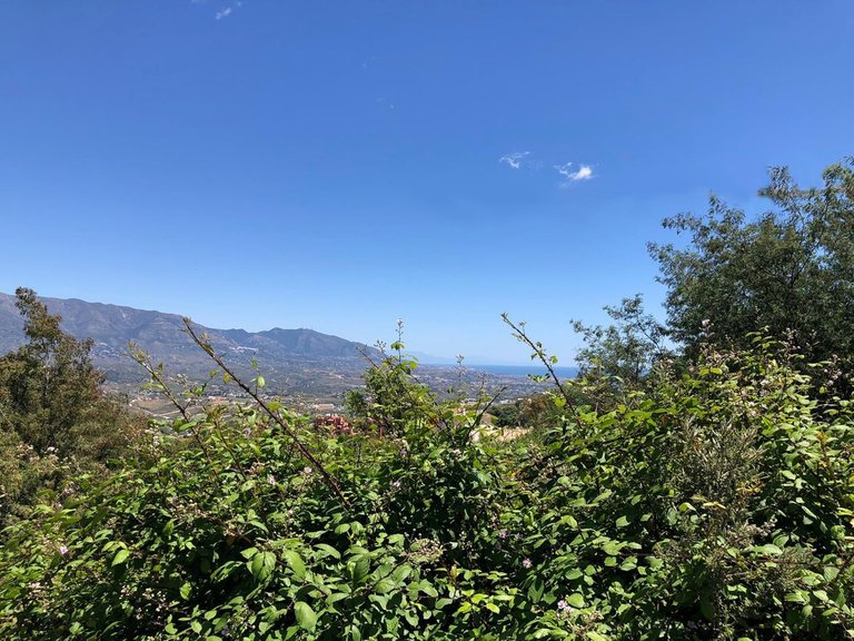 Plot for Sale in La Mairena, Malaga 3