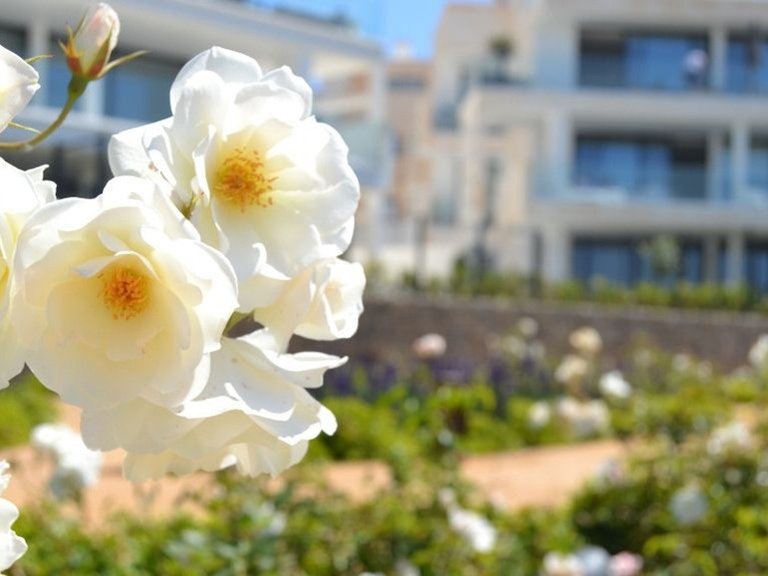 Apartment for Sale in Fuengirola, Malaga 46