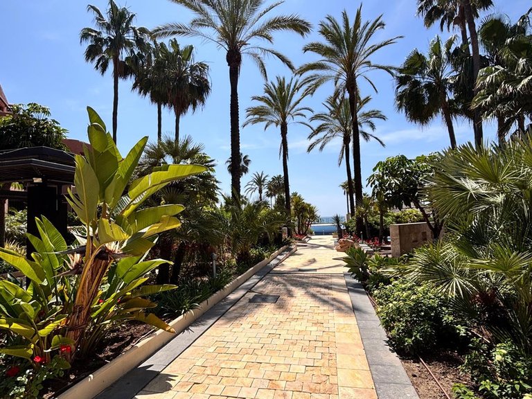 Apartment for Sale in Estepona, Malaga 21