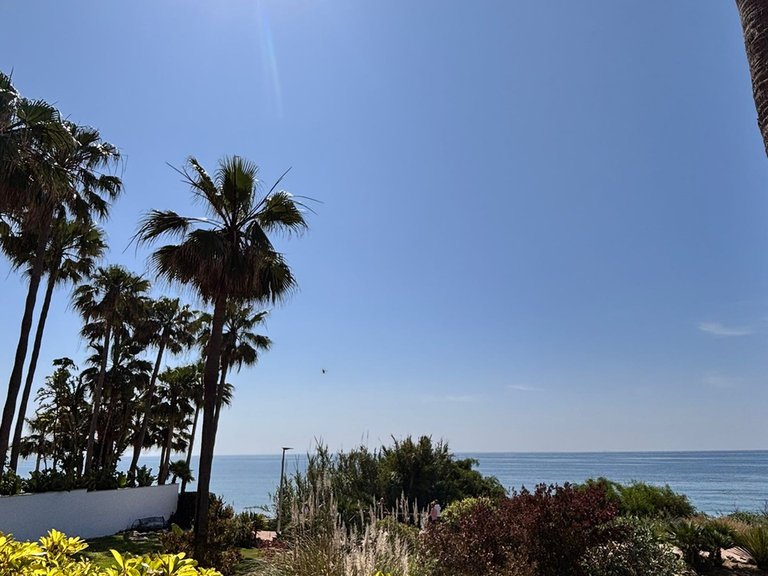 Apartment for Sale in Estepona, Malaga 5