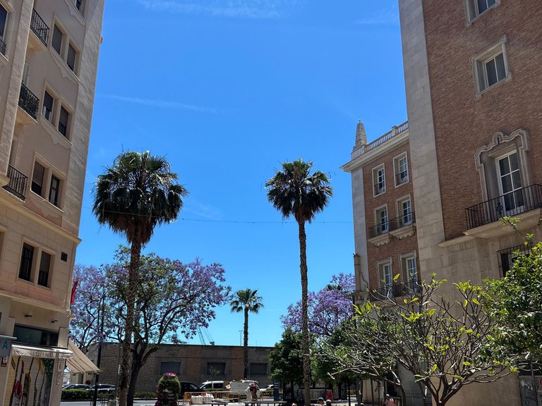 Apartment for Sale in Ensanche Centro, Malaga 13