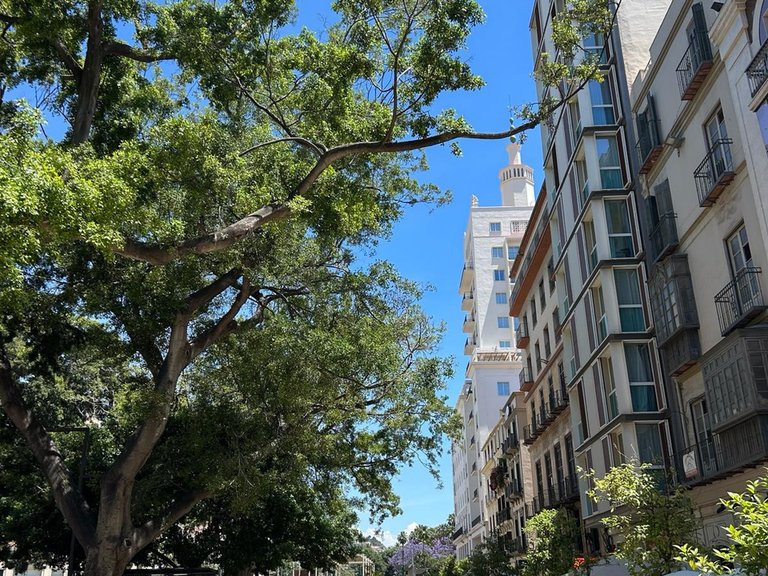 Apartment for Sale in Ensanche Centro, Malaga 15