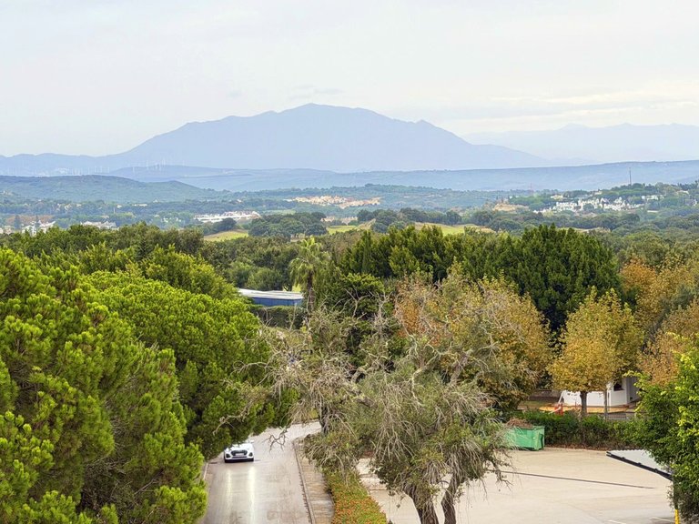 Villa for Sale in San Roque, Cadiz 38