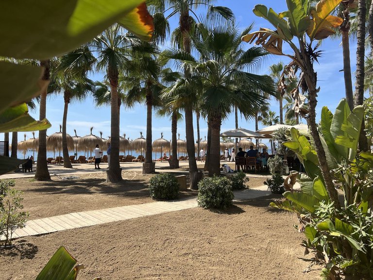 Apartment for Sale in Santa Clara, Malaga 49