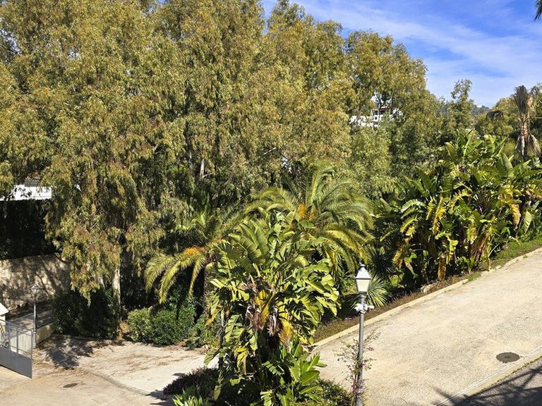 Apartment for Sale in Elviria, Malaga 42