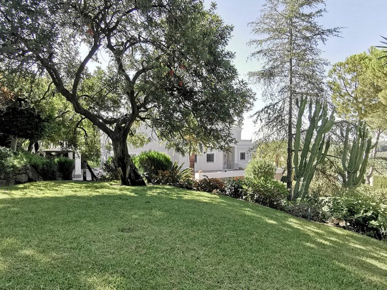 Villa for Sale in Estepona, Malaga 12