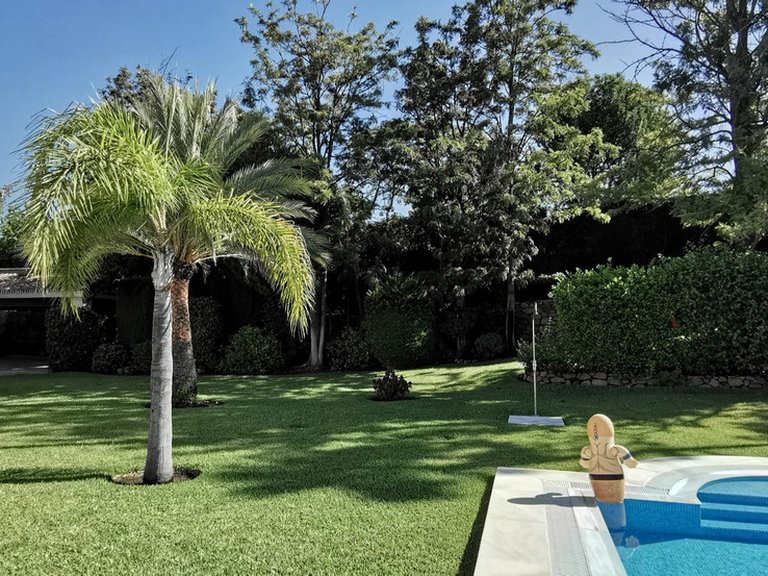 Villa for Sale in Estepona, Malaga 6