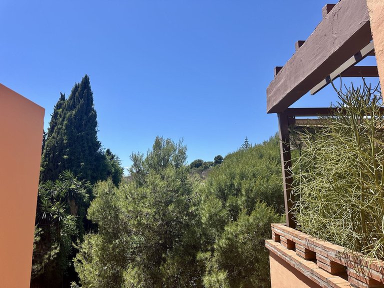 Apartment for Sale in Marbella, Malaga 15