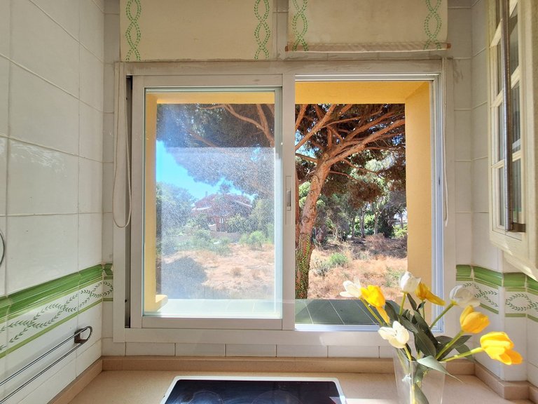 Apartment for Sale in Elviria, Malaga 18