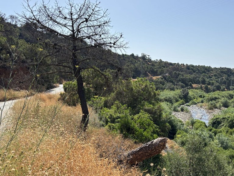 Plot for Sale in El Padron, Malaga 1