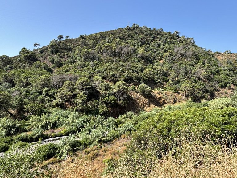 Plot for Sale in El Padron, Malaga 10
