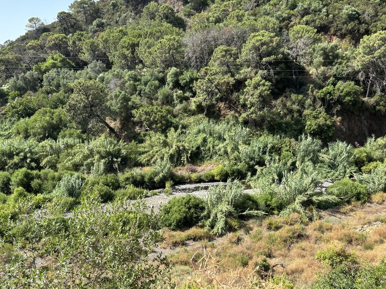 Plot for Sale in El Padron, Malaga 11