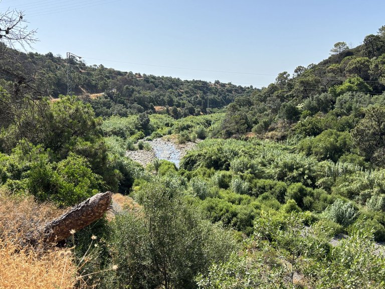 Plot for Sale in El Padron, Malaga 12