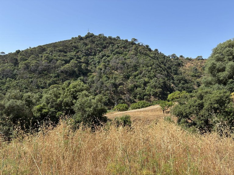 Plot for Sale in El Padron, Malaga 13