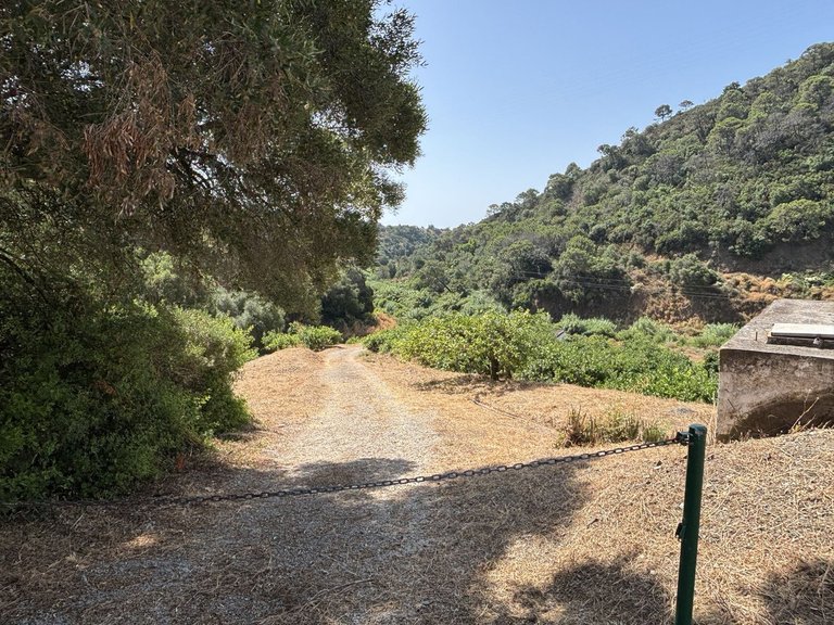 Plot for Sale in El Padron, Malaga 14