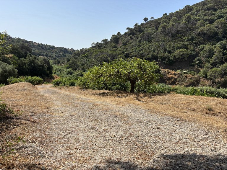 Plot for Sale in El Padron, Malaga 16